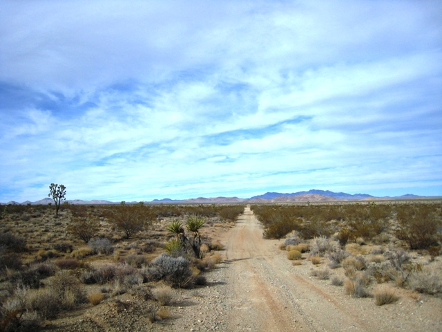 Mojave Road - 12/02/2008 9:46 AM